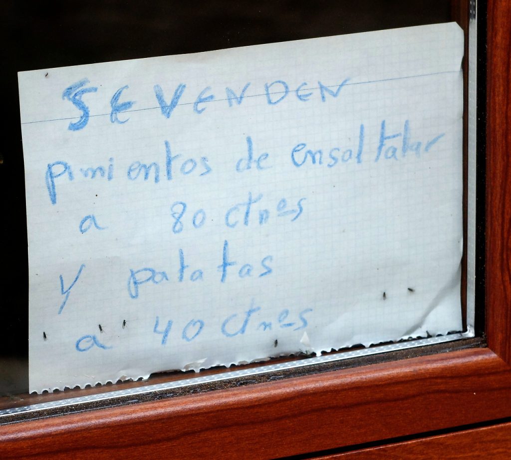 cartel-pimientos-las-mestas