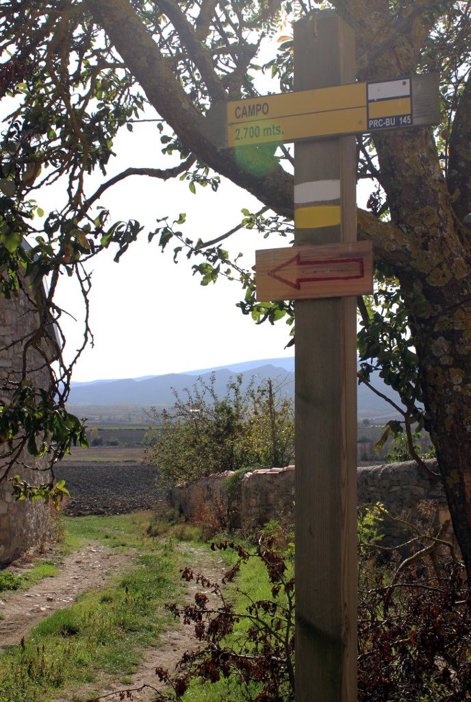 flecha-hacia-el-campo