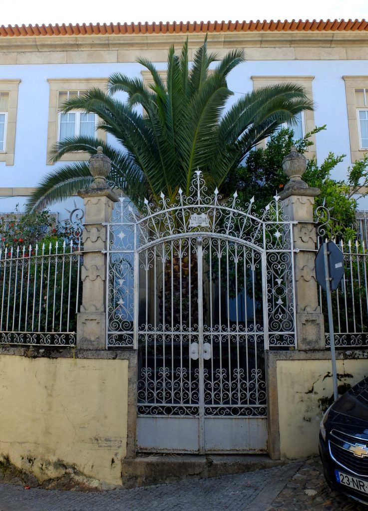 quien-iba-a-pensar-que-la-palmera-frente-a-la-puerta-fuese-a-crecer-tanto