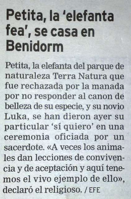 La elefanta Petita