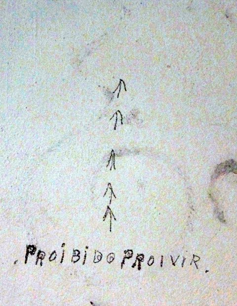 Proibido proivir