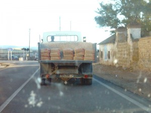camion-lora-del-rio