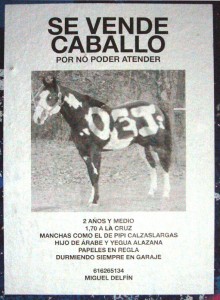 se-vende-caballo