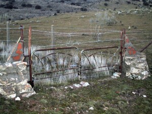 verja-cama-buenavista