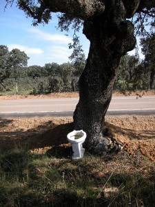 water-encina