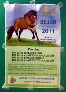 premio-al-mejor-burro