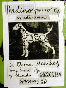 perro-manchas