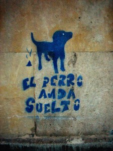 el-perro-anda-suelto