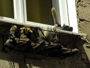 maceta-bota-cactus-orgosolo-1