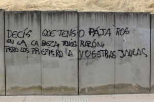 pajaros-en-cabeza-mejor-que-jaulas