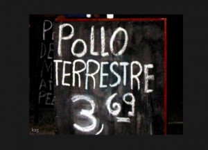 Pollo terrícola