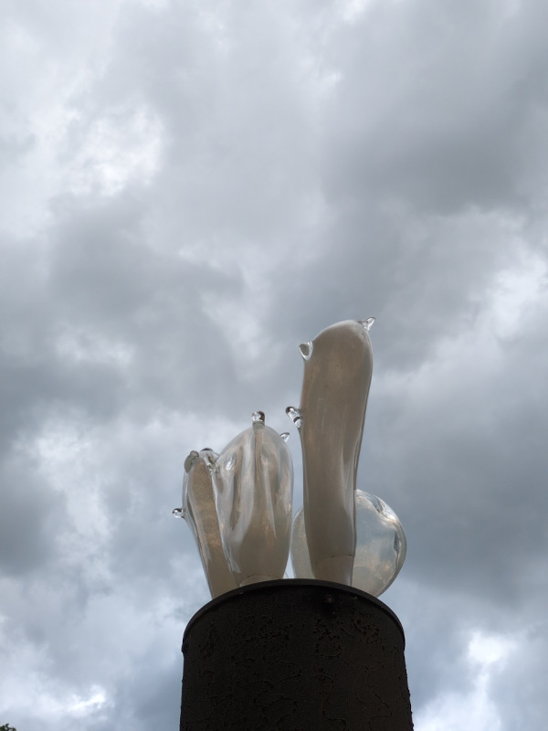 Plaza de los condones